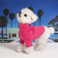 福利品專區 - 高領打底衫 草綠 L