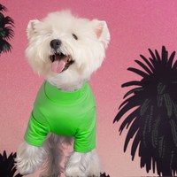 福利品專區 - 高領打底衫 草綠 L