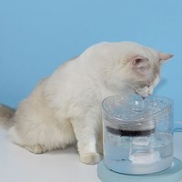 防乾燒活氧飲水機