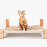 渴睡款 夏季清涼窩