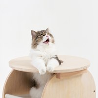 茶几款 夏季清涼窩