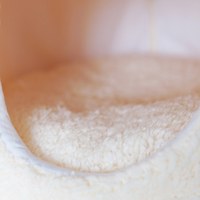 可愛小雞寵物窩