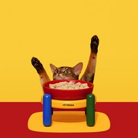 寵物陶瓷碗餐墊套裝組 (兩色)