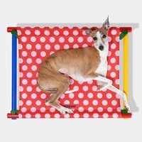 寵物Chroma高架床 (兩色)