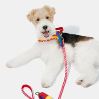  Chroma牽引繩套裝 (胸背+牽繩) (兩色)