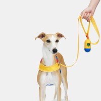  Chroma牽引繩套裝 (胸背+牽繩) (兩色)