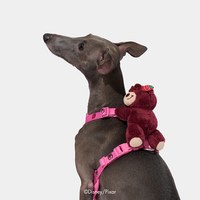 X 皮克斯 牽引繩套裝 (胸背+牽繩)