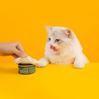 小花罐頭密封蓋