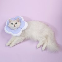 花朵伊莉莎白圈 (三色)