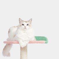 水果麻繩貓爬架