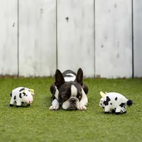 汪汪耐咬發聲玩具 - 農場乳牛