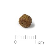 幼犬 經典系列乾糧 - 羊肉 (聰明成長配方)