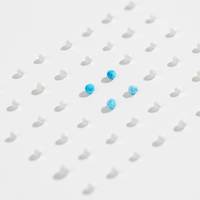 隱血測試 (豆腐砂+隱血測試顆粒)