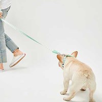 犬用牽引繩套裝 (項圈+牽繩) (四款)