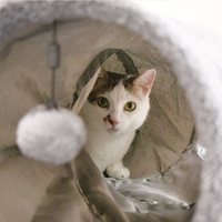 S型靜音可折疊貓隧道