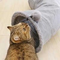 S型靜音可折疊貓隧道