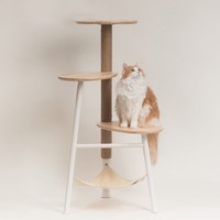 小型四層貓爬架
