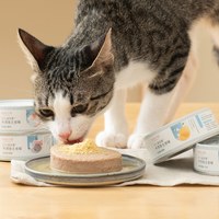1+1 貓益生菌半濕食主食罐 (多種口味)