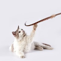 木天蓼羽毛巨長逗貓棒