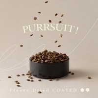 PURRSUIT!貓咪凍乾飼料 (多種口味)