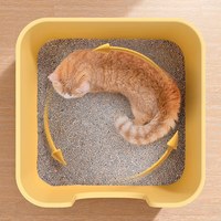 蠻大方開放式貓砂盆 (多色)