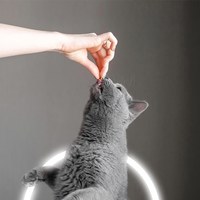 貓咪保腎利 (腎臟保健)