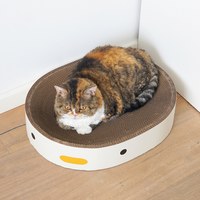 小雞貓抓板 (兩款)