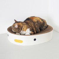 小雞貓抓板 (兩款)