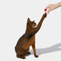 貓薄荷玩具 - 聖誕毛絨球球