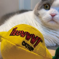 有機貓草玩具 (多款)