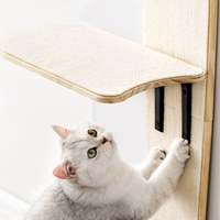 頂天立地貓爬架