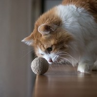 麻繩逗貓球 - 響鈴款 (6入)