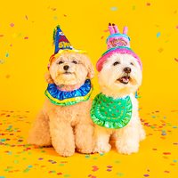 寵物派對套裝 (兩款)