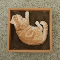 貓體工學貓抓盒