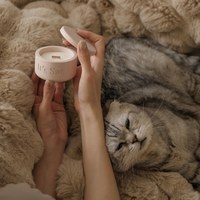 寵物友善香氛蠟燭 (多款)