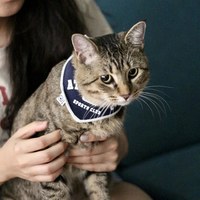 美式復古毛孩領巾 (兩色)