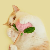 水蜜桃針織逗貓棒