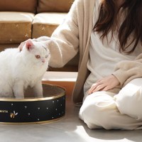 幻想家經典系列 - 貓抓板 (兩款)