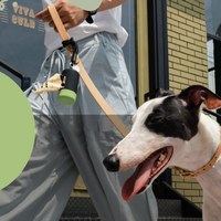 幻想家經典系列 - 隨行撿便袋收納盒 (多色)