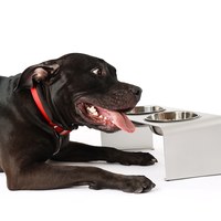 鋁合金寵物碗架