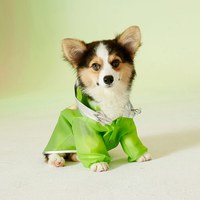 福利品專區 - TPU連帽雨衣