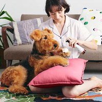 犬用清潔護理系列 - 病気OUT!潔淨泡