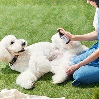 犬用清潔護理系列 - 酷涼降溫噴霧