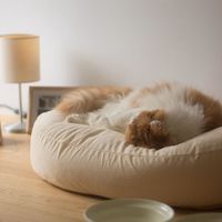 隱形豆袋寵物窩