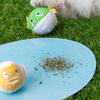 貓薄荷玩具 - 河中小豚子