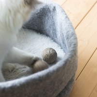 麻繩逗貓球 - 響鈴款 (6入)