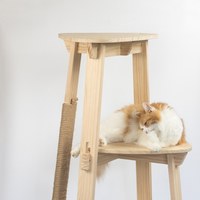 多層簡約貓爬架