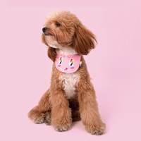 彩虹閃電口水巾