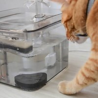 喝水好喵招 活性碳淨水片