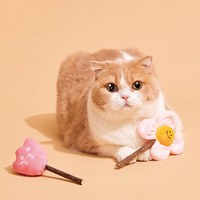 木天蓼潔齒玩具 - 花花fafa